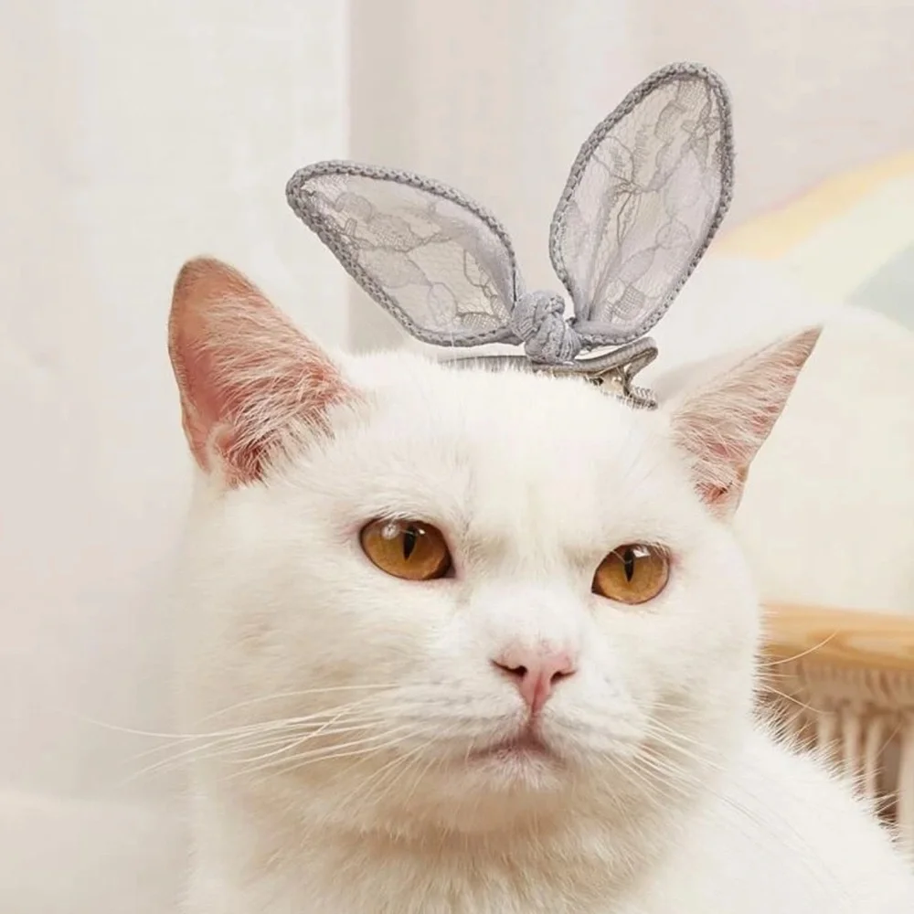 🐈 Adorable Kitty Cat Lace Ribbon Bow Kitty Cat Hair Clip 🐈